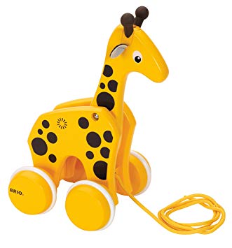 Giraffe Brio